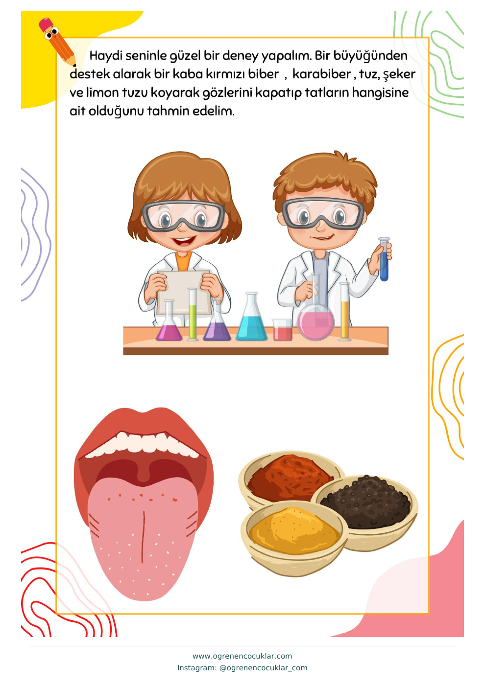 Duyu organlarıyla tanış — Gülseren Çınar çalışma sayfası